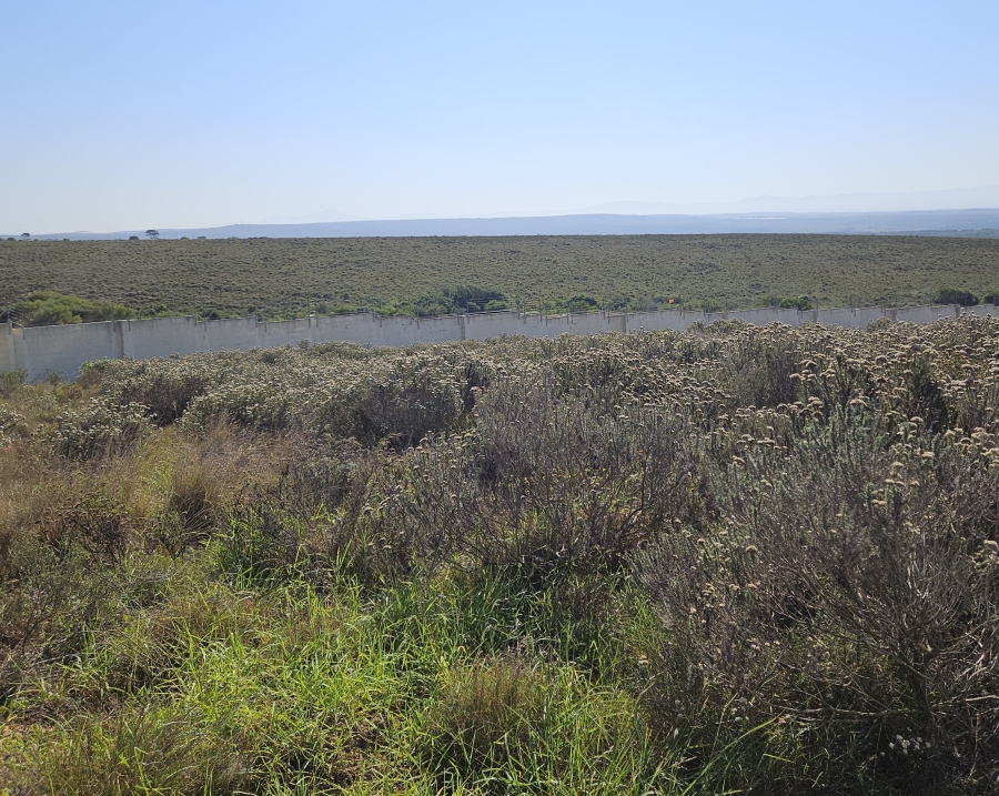 0 Bedroom Property for Sale in Blue Waters Estate Eastern Cape